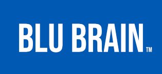Blu Brain